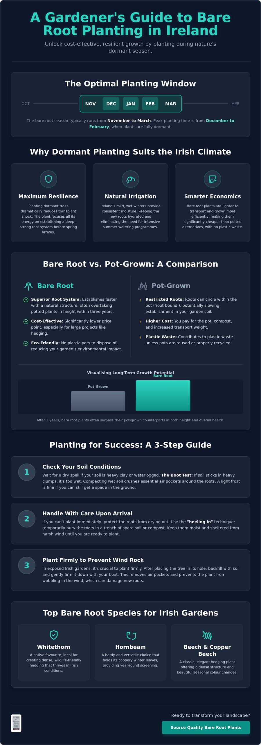 Bare Root Tree Season Ireland: The Complete 2026 Planting Guide