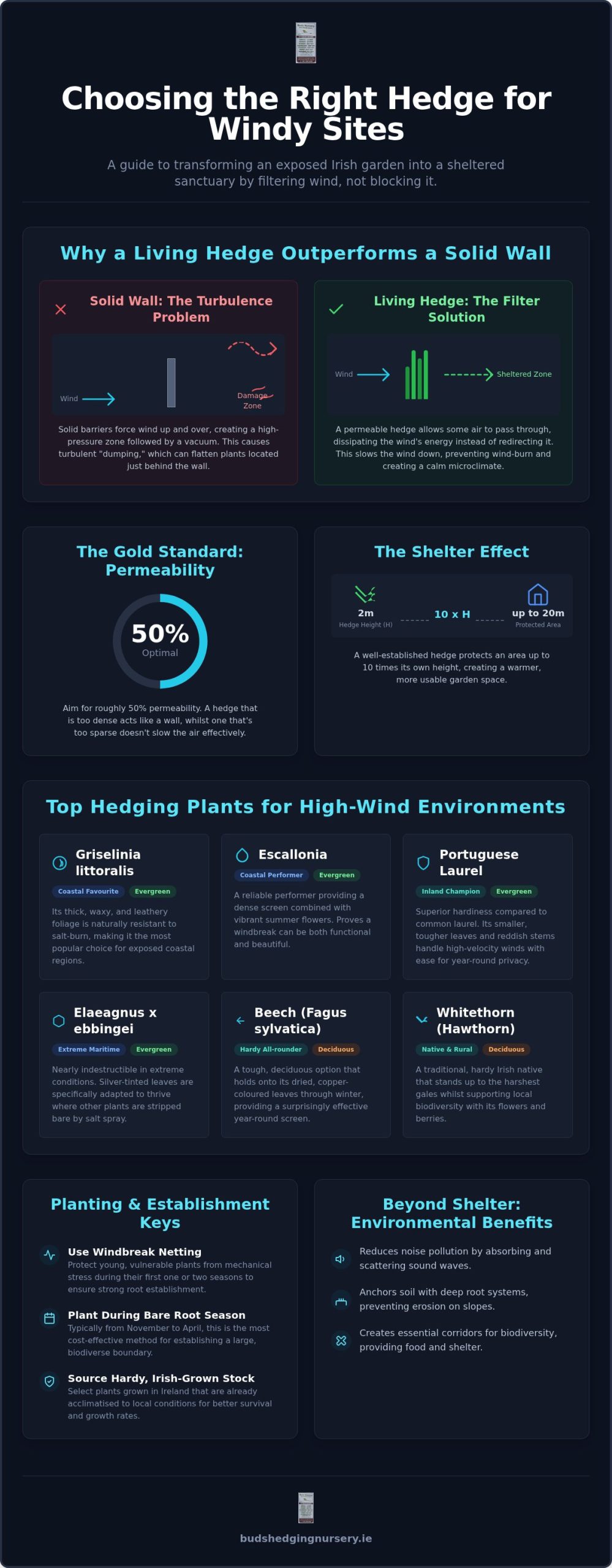 Best Hedging Plants for Windy Sites: A Guide for Exposed Irish Gardens 2026