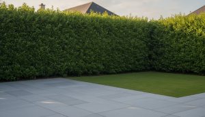 Best Hedging for Privacy in Ireland: A Practical 2026 Buying Guide