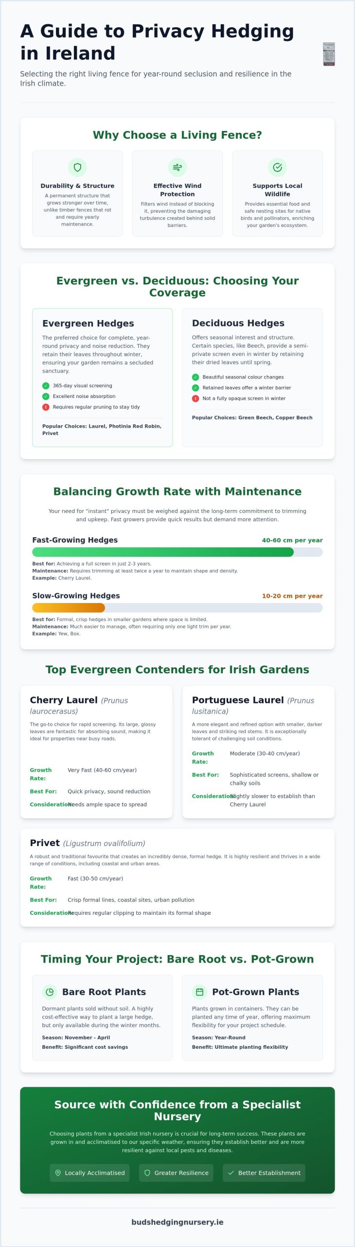 Best Hedging for Privacy in Ireland: A Practical 2026 Buying Guide