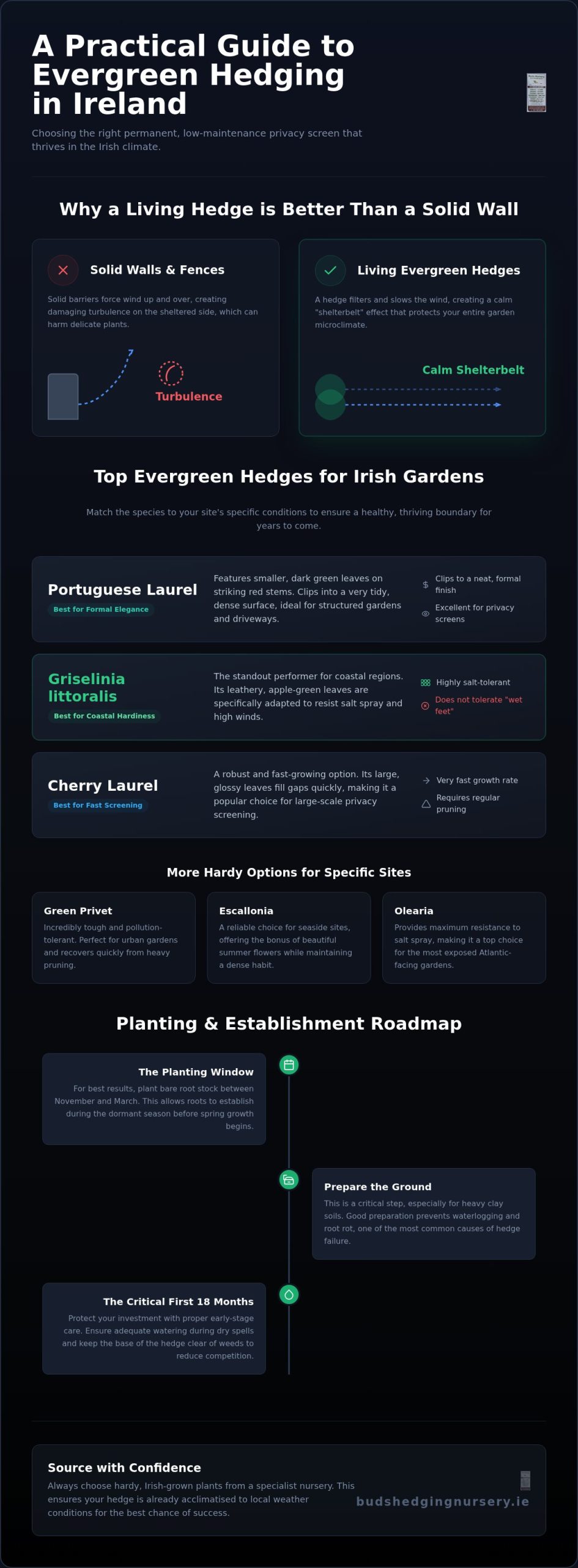 Evergreen Hedging Ireland: The Practical 2026 Buying Guide