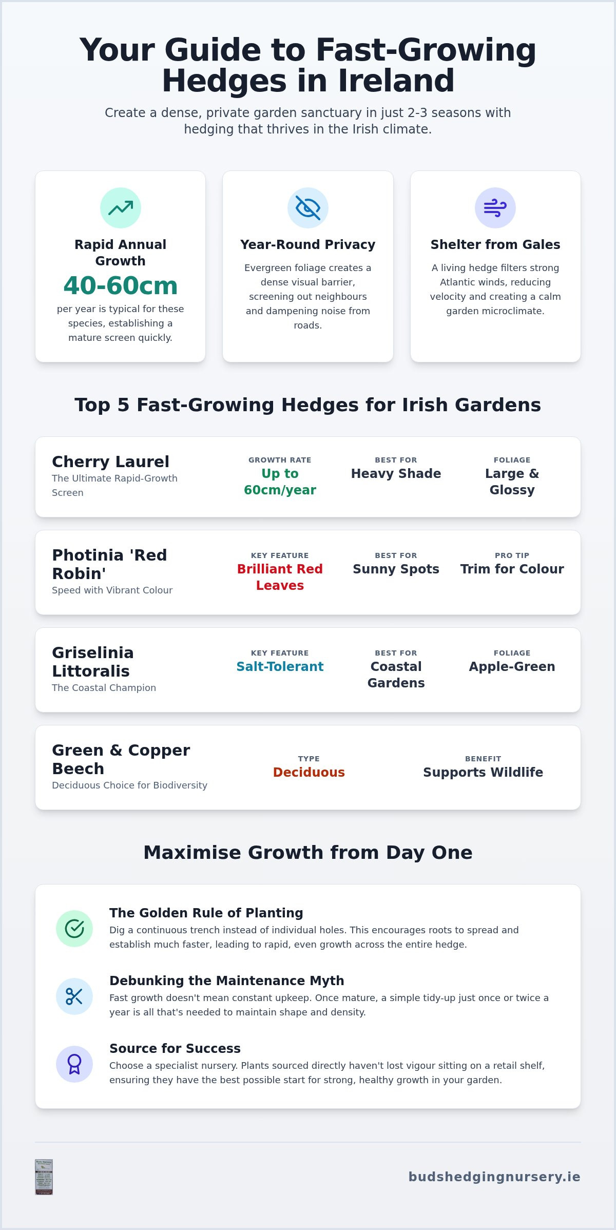 Fast Growing Hedges Ireland: Top 7 Species for Quick Privacy in 2026