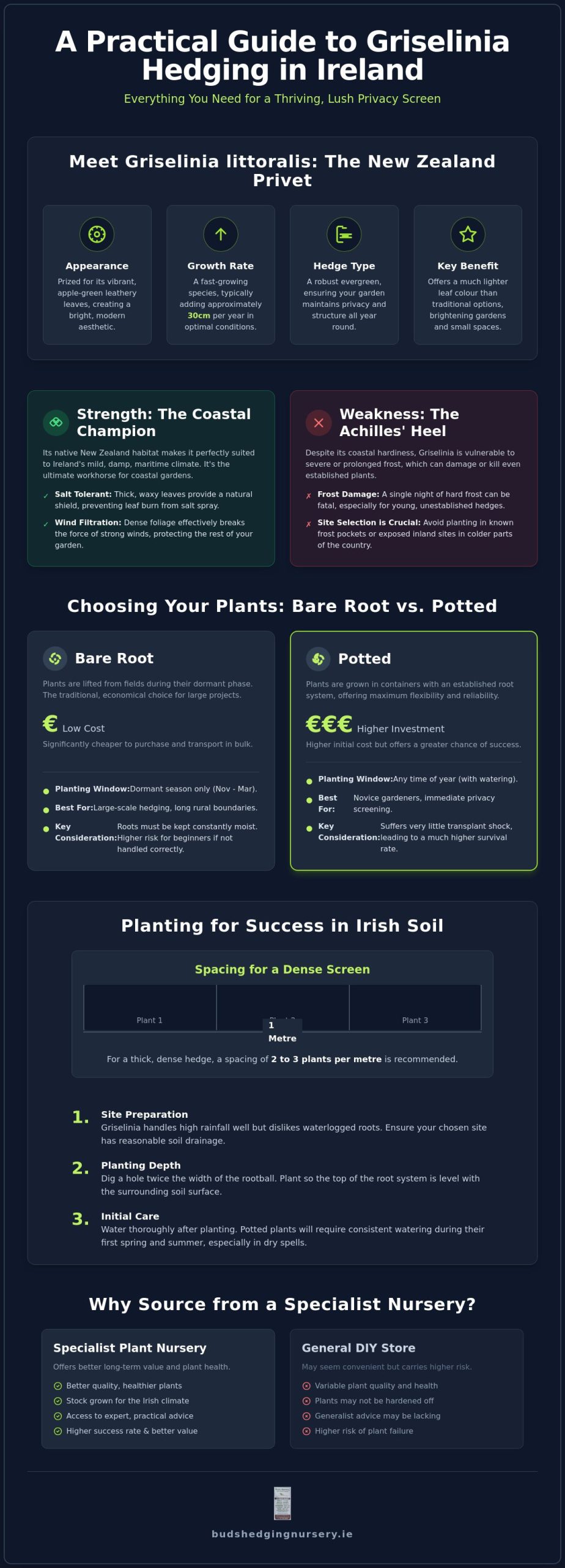 Griselinia Hedging Plants Ireland: The Complete Guide to New Zealand Privet