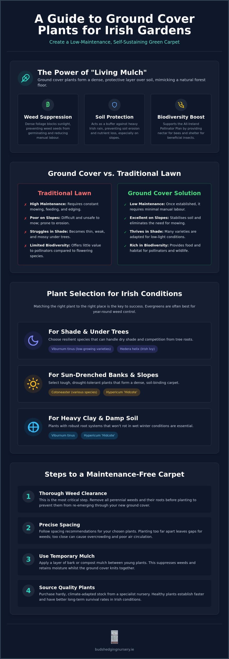 Ground Cover Plants in Ireland: The Complete Guide to Low-Maintenance Gardening