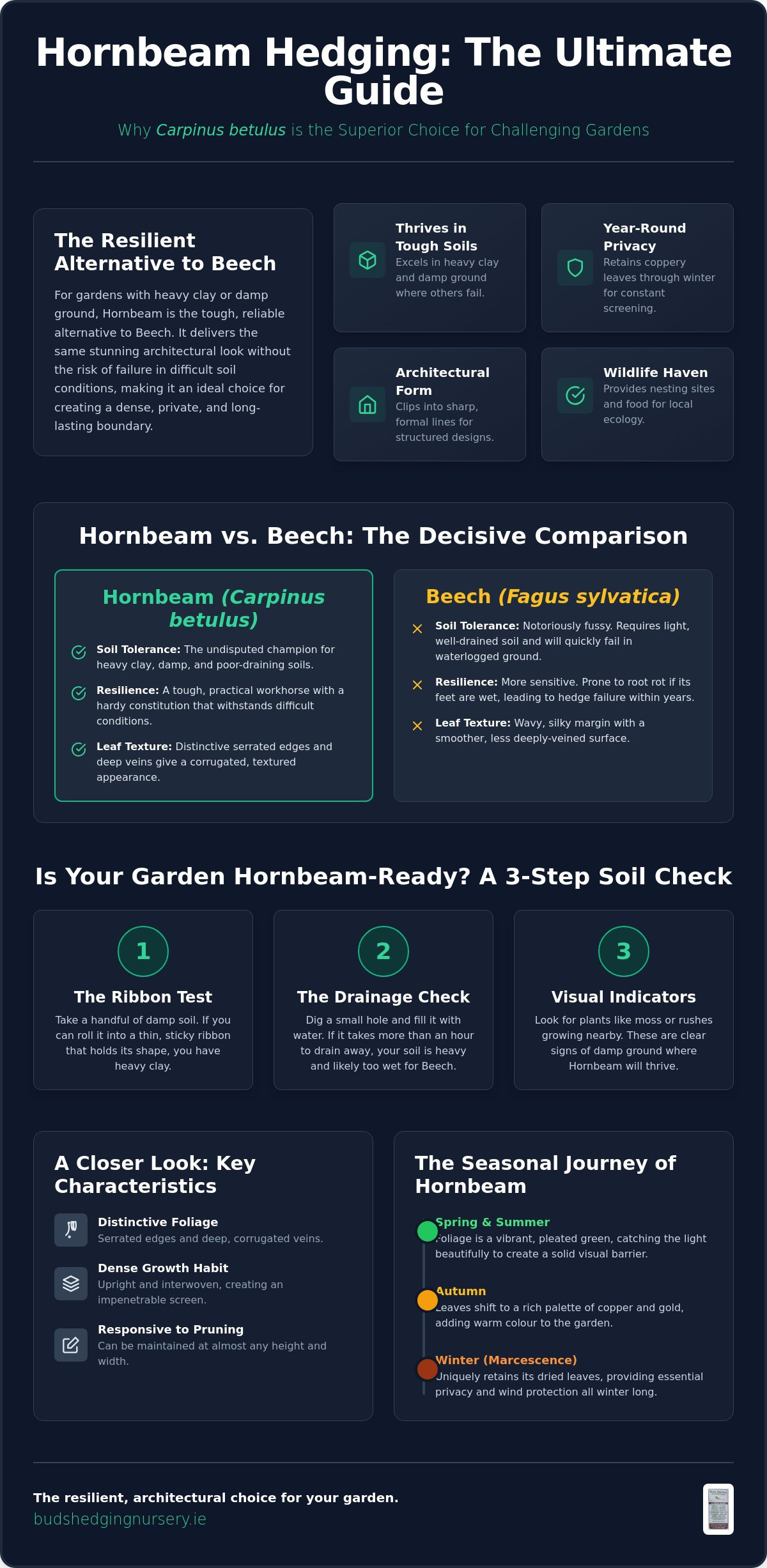 Hornbeam Hedging for Sale: The Complete Guide to Carpinus Betulus