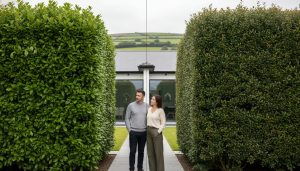 Laurel Hedge Ireland: A Practical Comparison of Cherry vs Portuguese Laurel