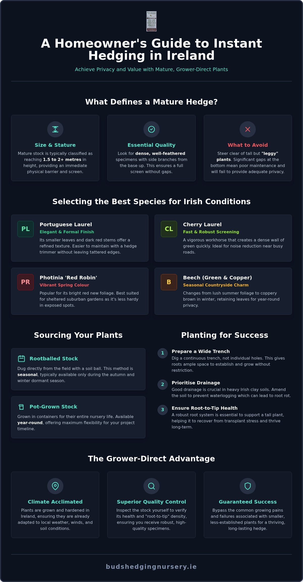 Mature Hedging Plants Ireland: The Professional Buying Guide 2026