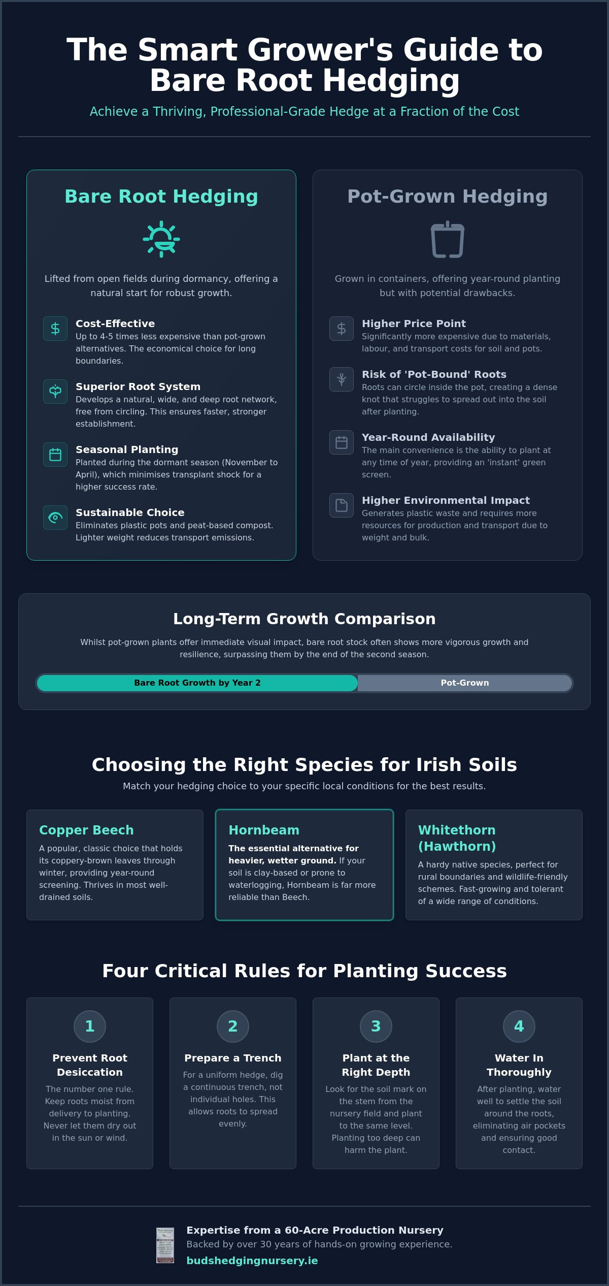 Sourcing Bare Root Hedging in Cavan: A Practical Comparison and 2026 Guide