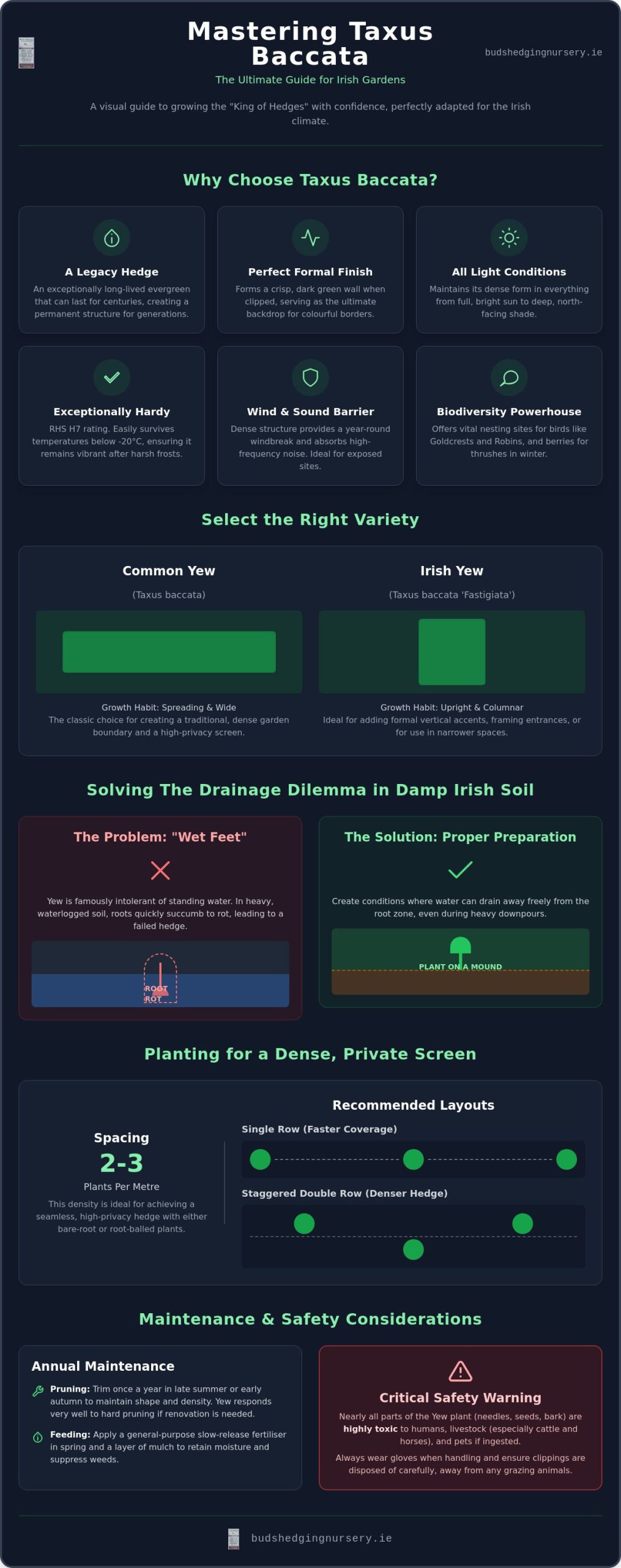 Taxus Baccata Hedging Ireland: The Definitive Reference Guide for 2026