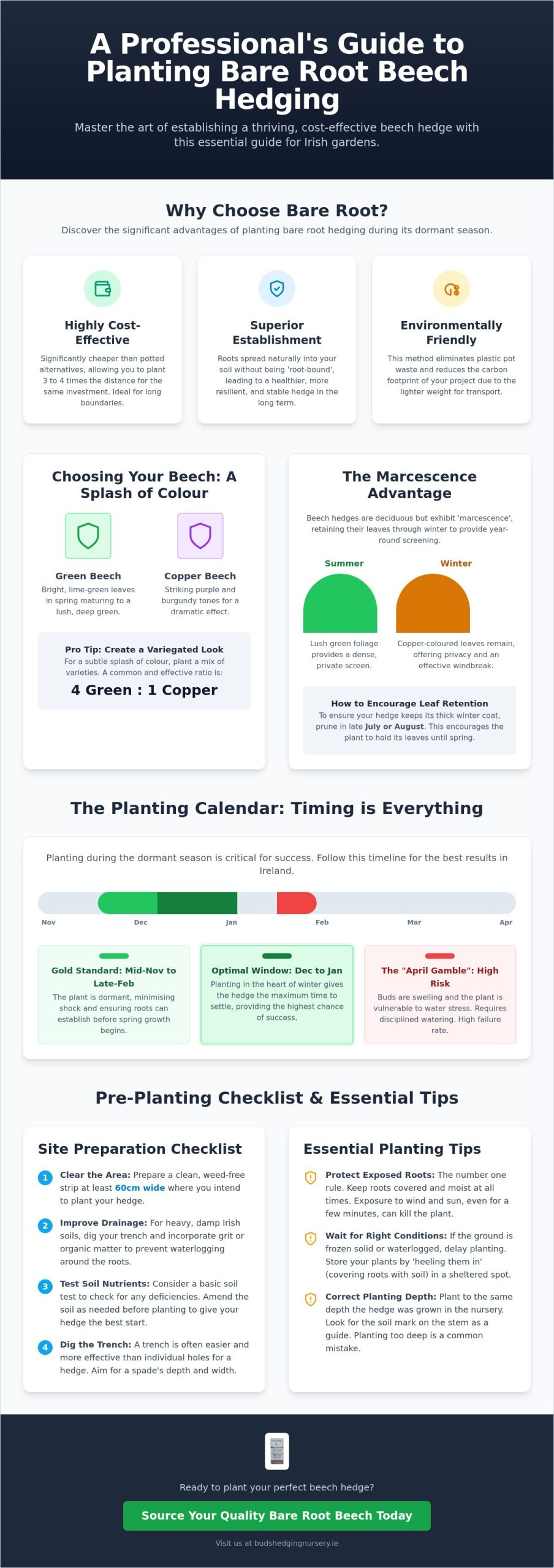 The Ultimate Checklist for Bare Root Beech Hedging in Cavan and Ireland 2026