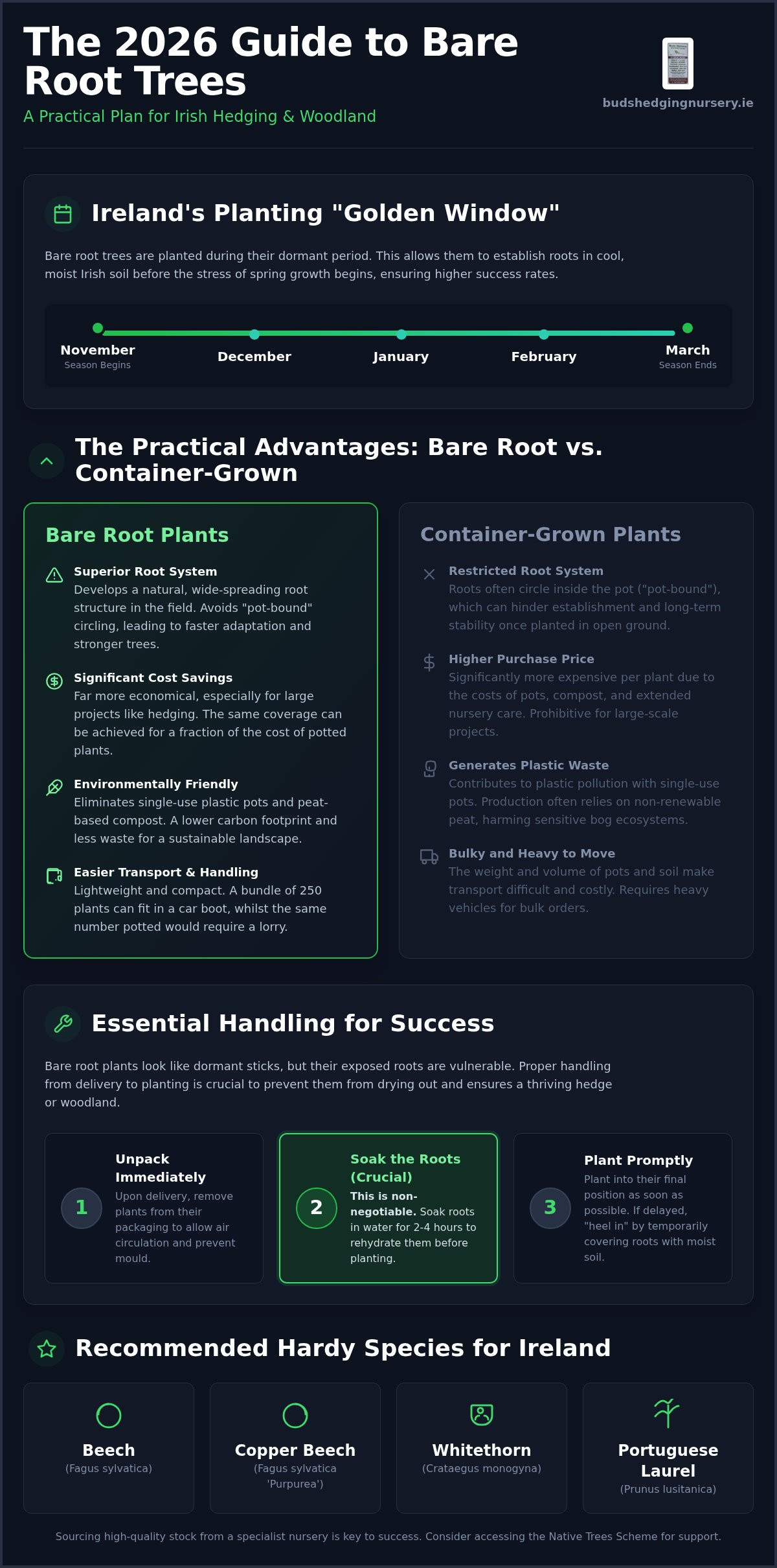 Bare Root Tree Season Ireland: The Complete 2026 Planting Guide