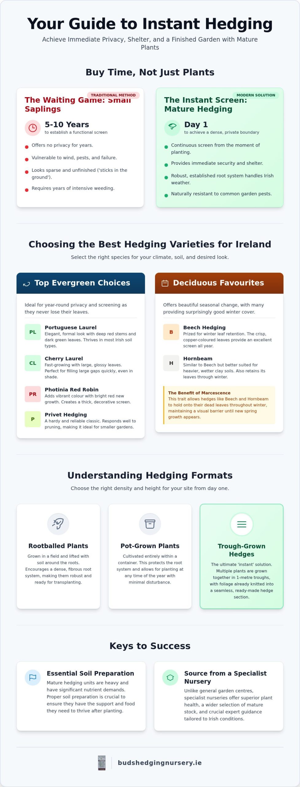 Instant Hedging Ireland: The 2026 Guide to Mature Garden Privacy