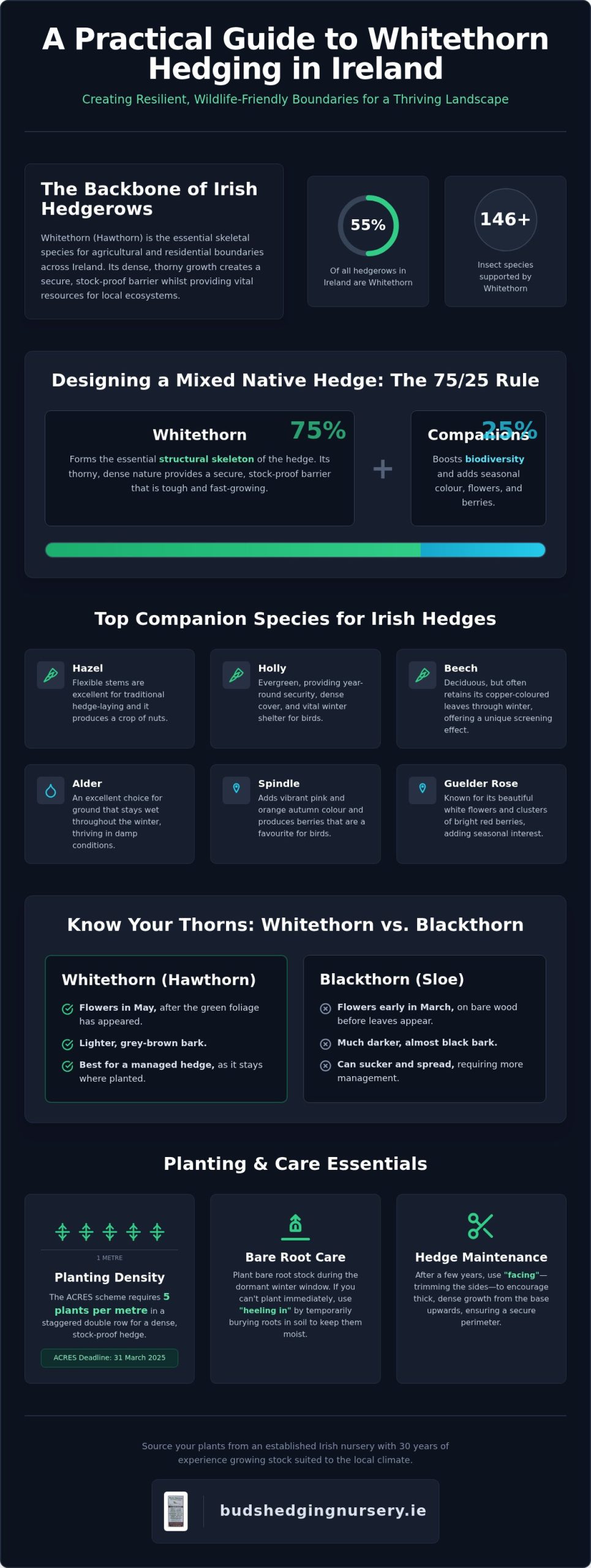 Whitethorn Hedging in Ireland: A Practical Guide to Mixed Native Hedging Packs
