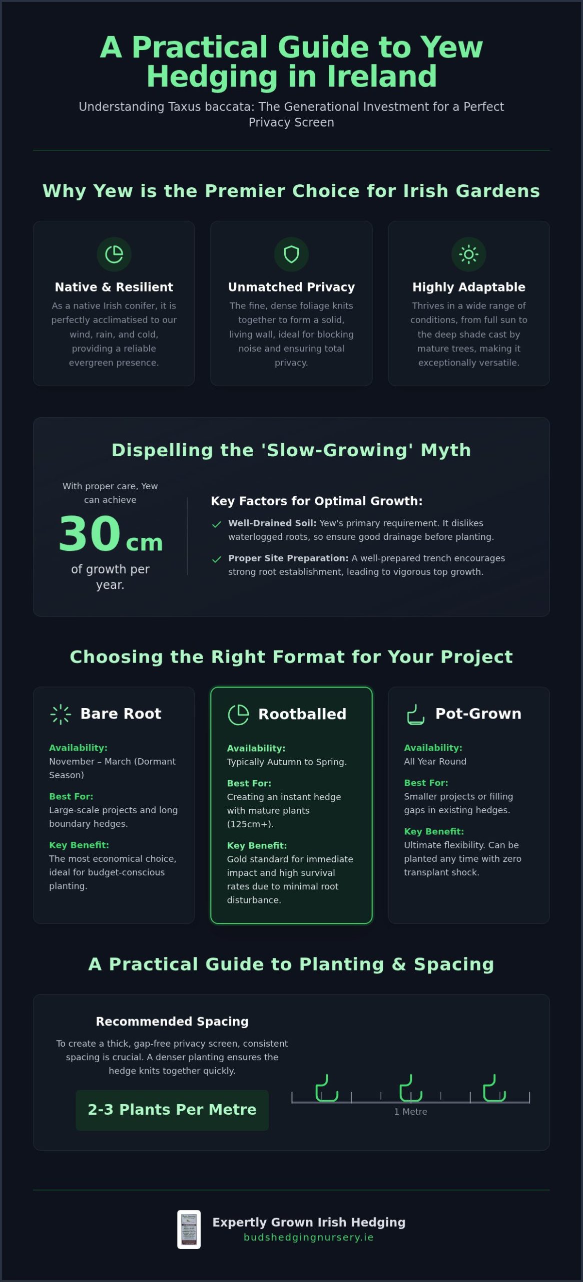 Yew Hedging for Sale Ireland: The Practical 2026 Buyer’s Guide