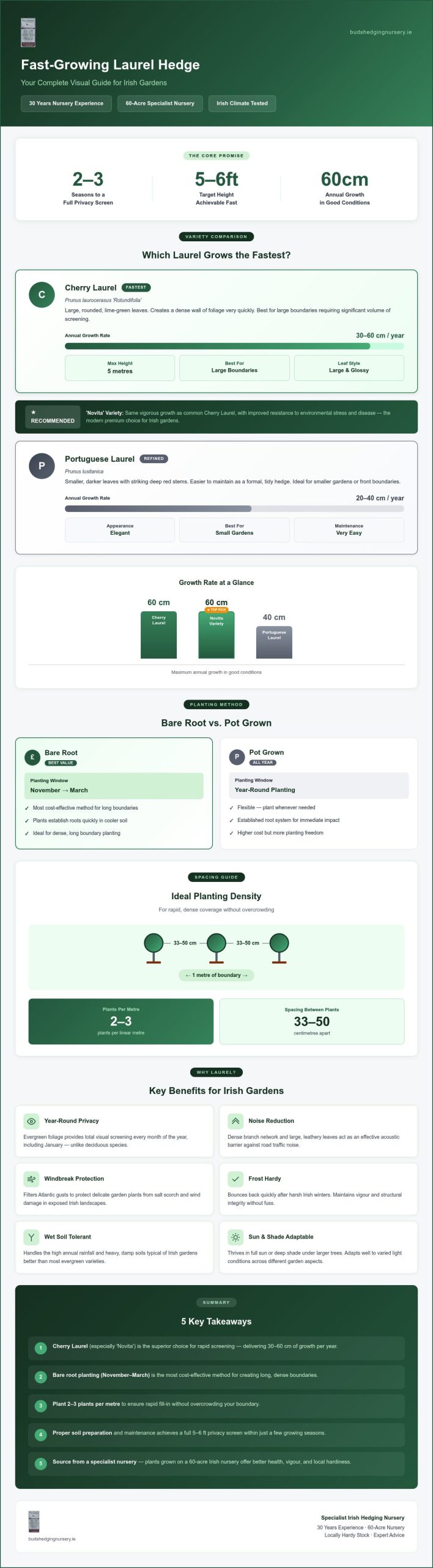 Fast-Growing Laurel Hedge Ireland: The 2026 Ultimate Guide