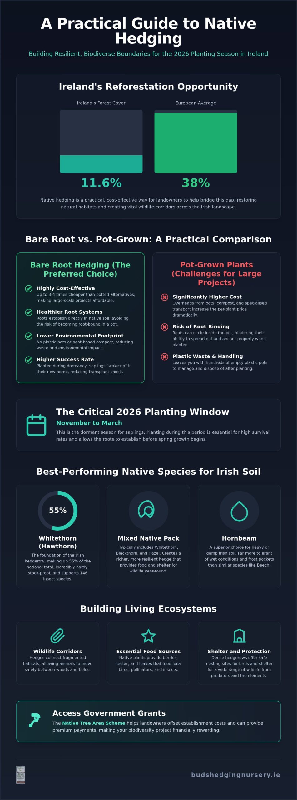 Bare Root Native Hedging in Cavan: The 2026 Ireland Planting Guide