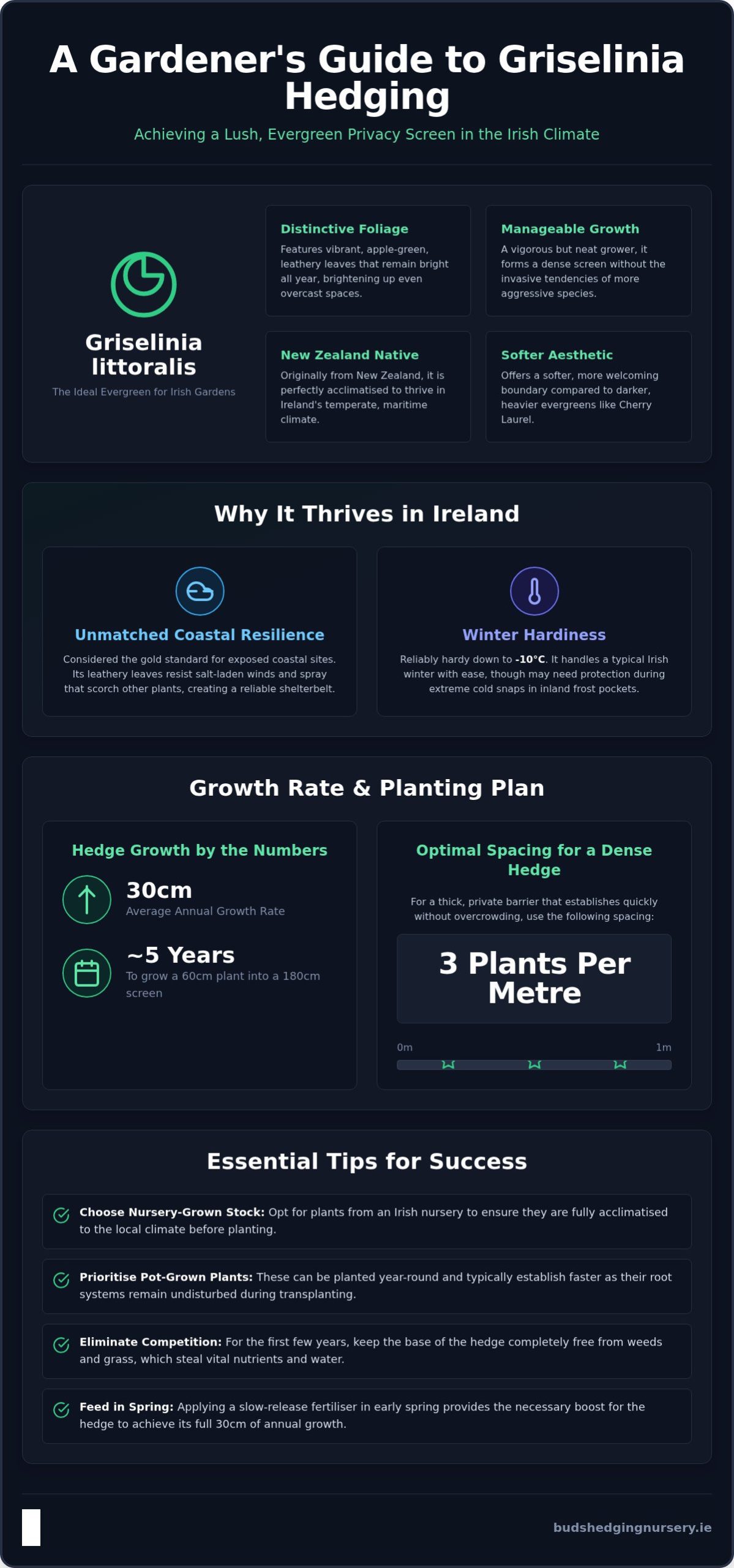 Griselinia Hedging in Ireland: The Complete 2026 Growing Guide