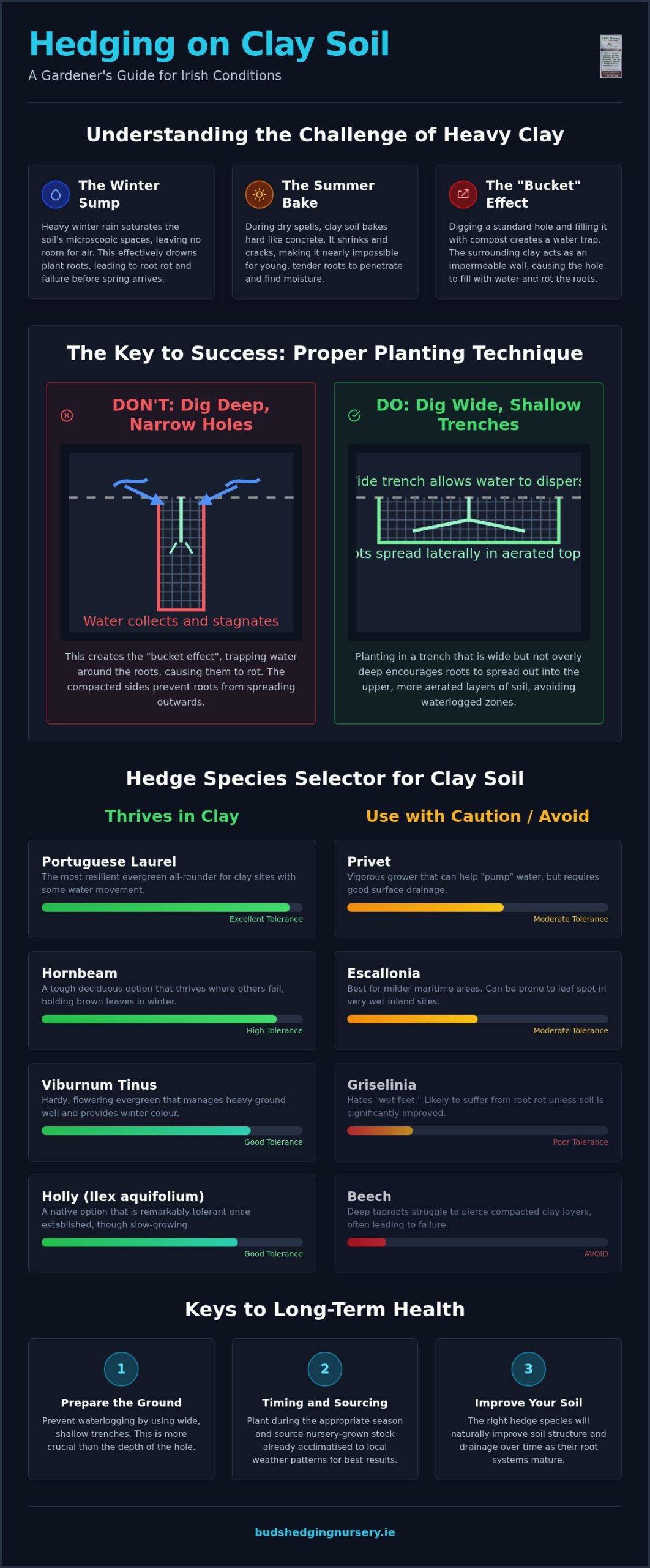 Best Hedging for Clay Soil in Ireland: 2026 Practical Guide
