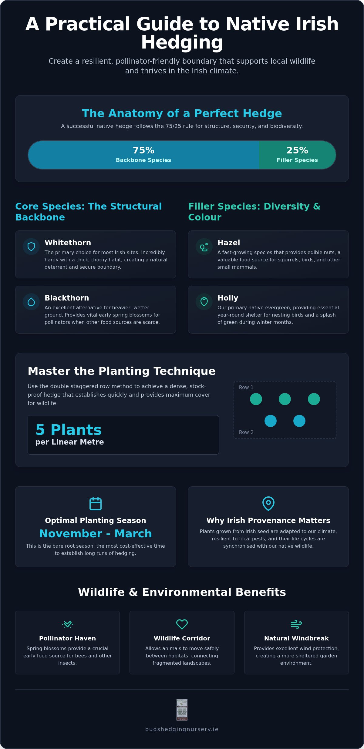 The Complete Guide to Native Hedge Mix Ireland: 2026 Planting and Selection
