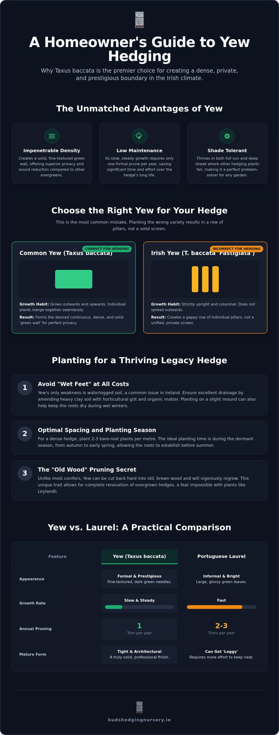 Yew Hedging Ireland: The Complete 2026 Guide to Taxus Baccata