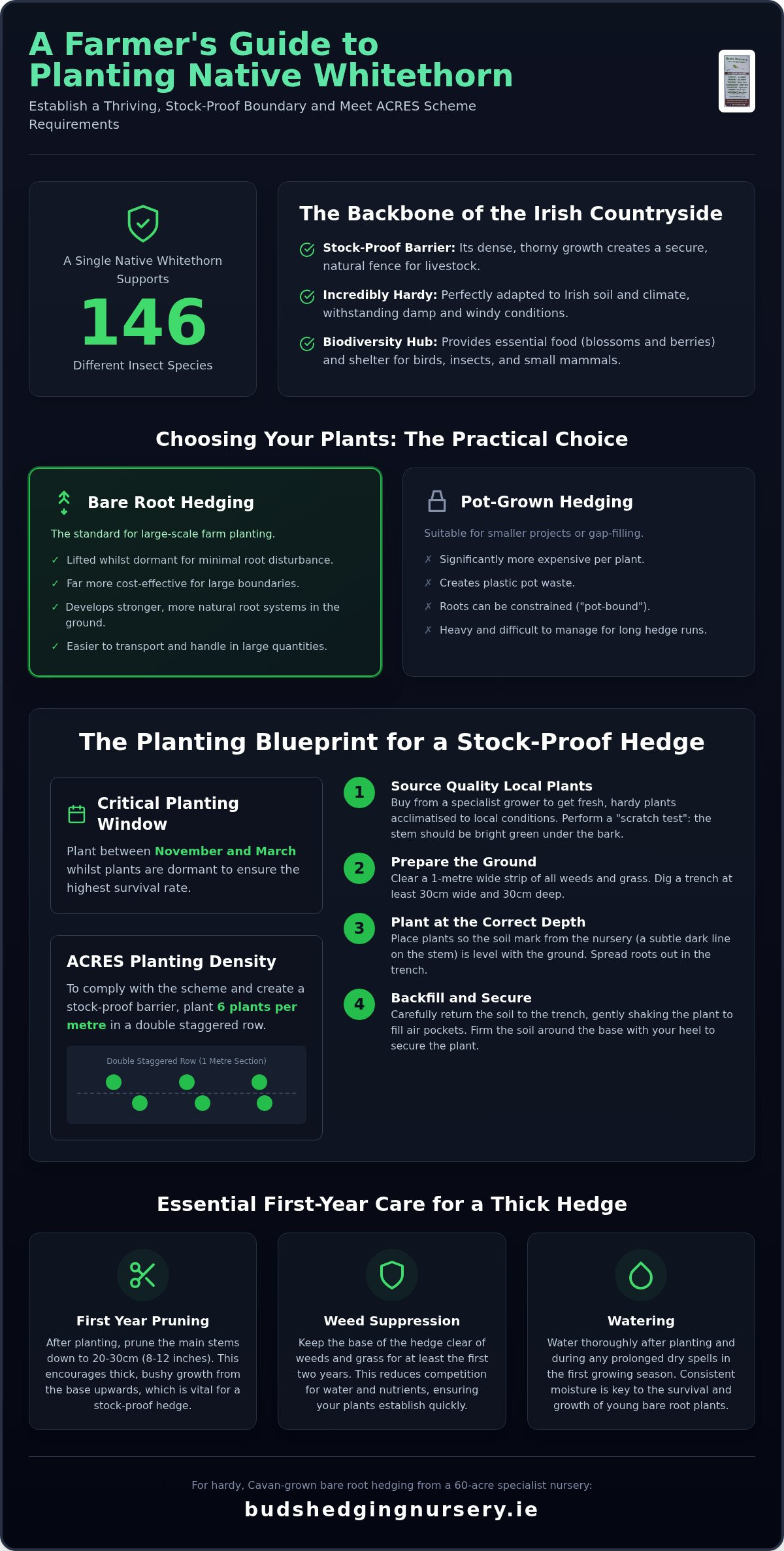 Bare Root Whitethorn Hedging in Cavan: The 2026 Grower’s Guide