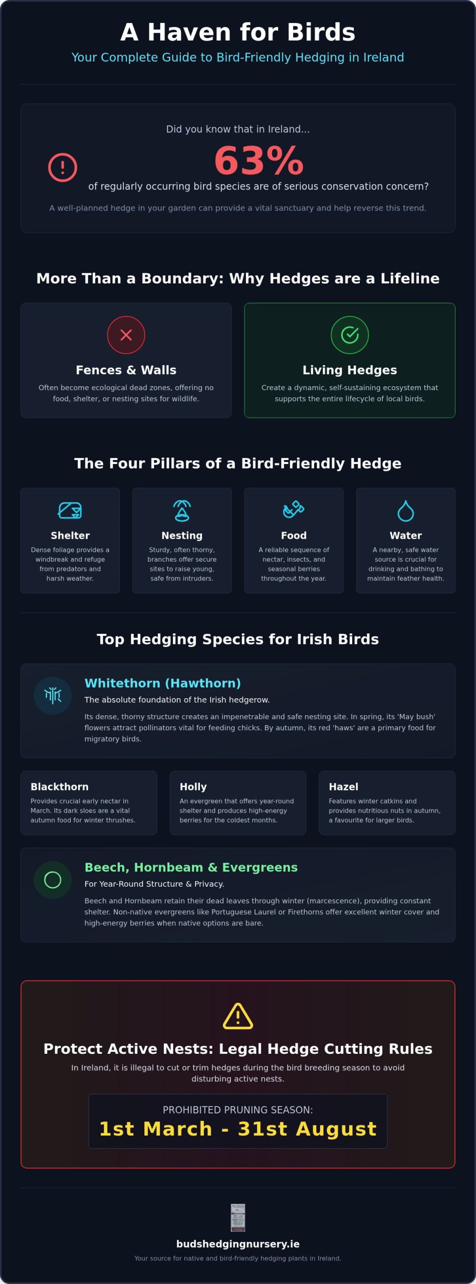 Bird Friendly Hedging Ireland: The Complete 2026 Guide to Wildlife Gardening