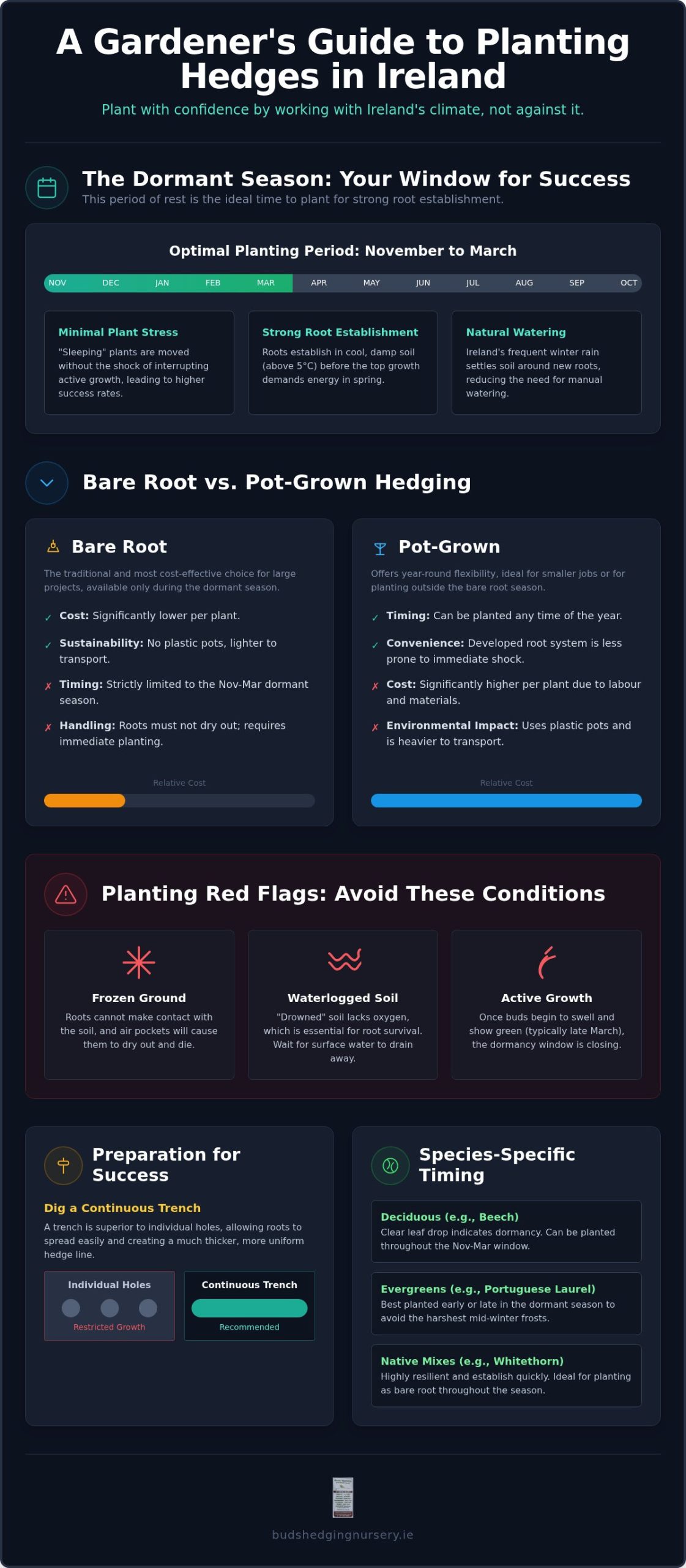 The Best Time to Plant Hedging in Ireland: A Practical 2026 Guide