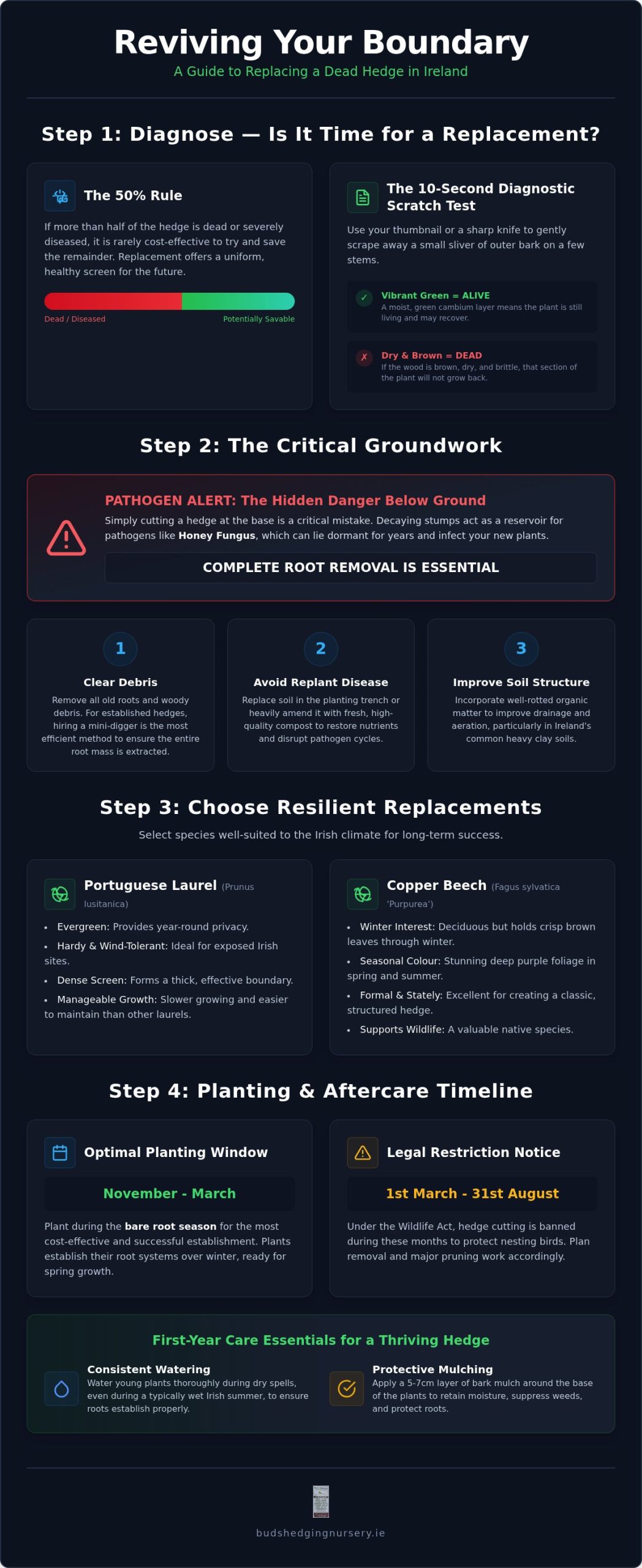 Replacing a Dead Hedge in Ireland: A Practical 2026 Guide to Revival and Replanting