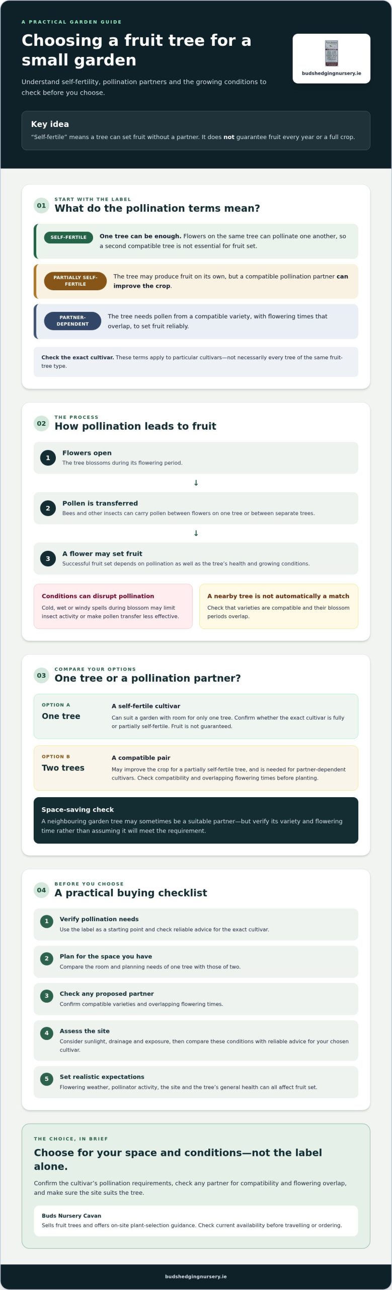 Self-pollinating fruit trees in Ireland: a practical buying guide