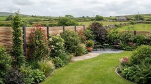 Best Plants for Garden Screening: Modern Irish Ideas