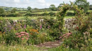 How to choose wildlife friendly garden plants for pollinators and birds