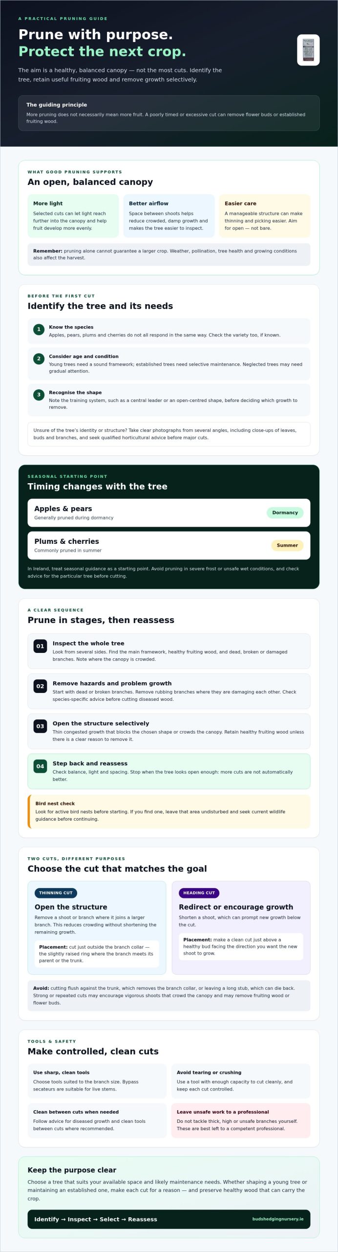 How to Prune Fruit Trees for More Fruit: A Practical Guide