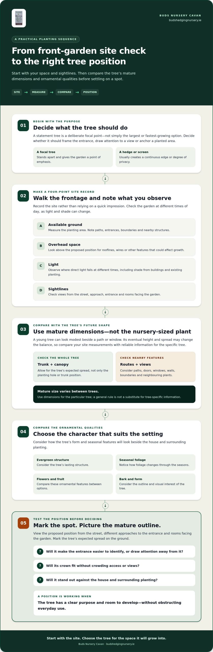 Statement Trees for Front Gardens: How to Choose the Right One