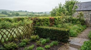 Living Fence Ideas in Ireland: Choose a Design That Suits Your Garden